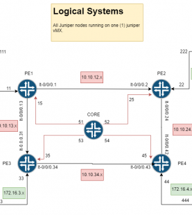 Juniper Logical Systems Course