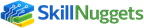 Main Skillnuggets site logo